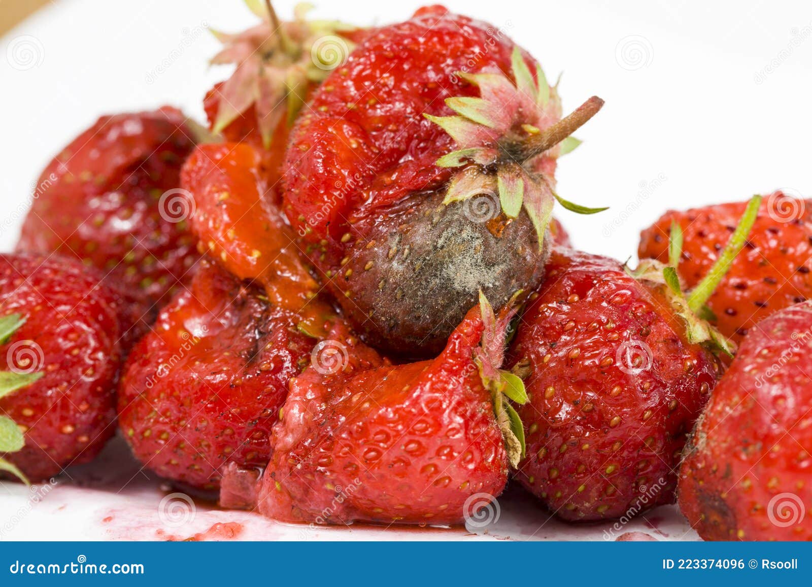 Strawberry with mold stock photo. Image of snack, mildew - 223374096