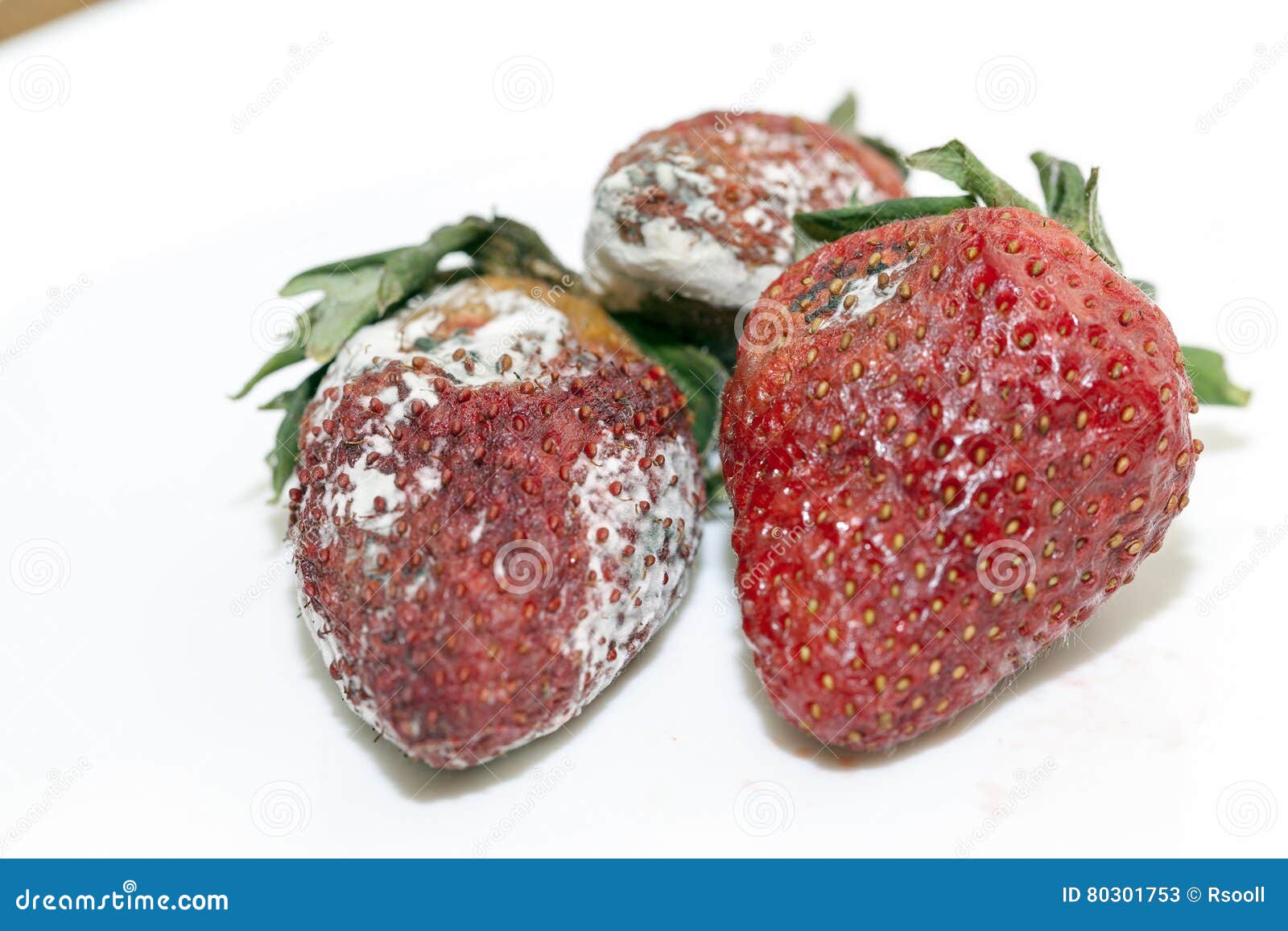 Strawberry with mold stock image. Image of culture, drink - 80301753