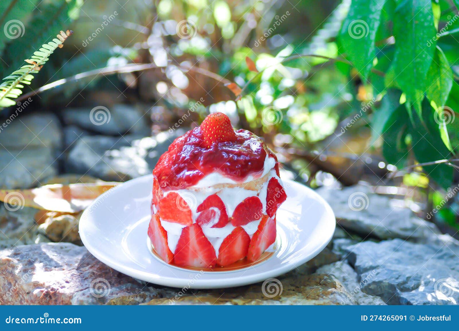 Strawberry Shortcake or Strawberry Cake with Strawberry Sauce Stock