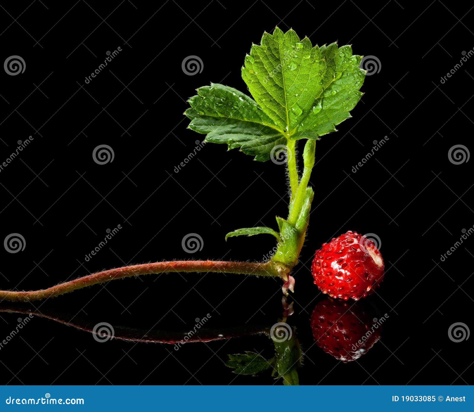 My Image 23