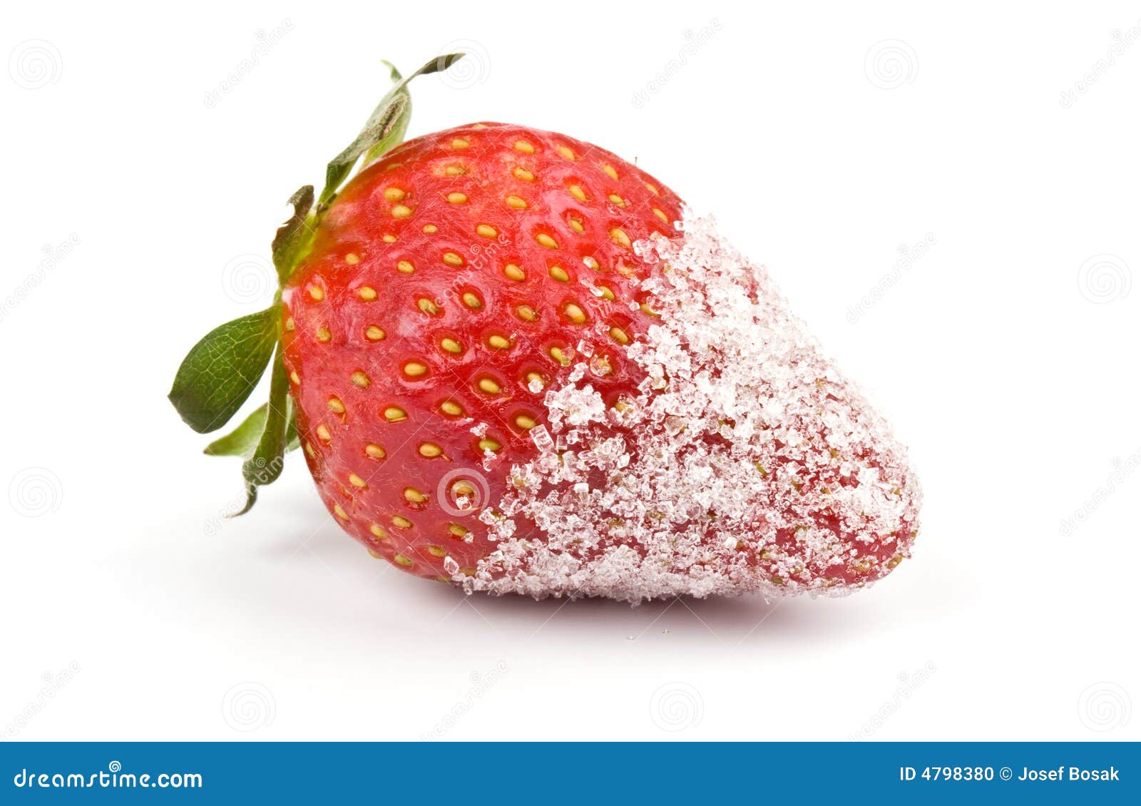 Strawberry with sugar stock photo. Image of summer, natural 4798380