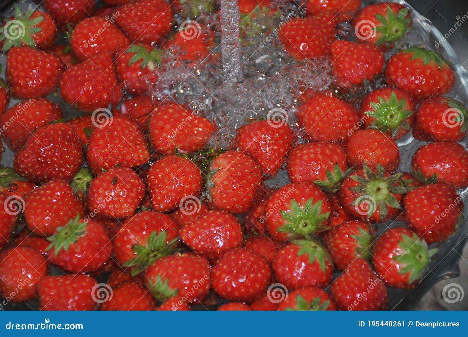 strawberryf ruit imported from eu member country poland