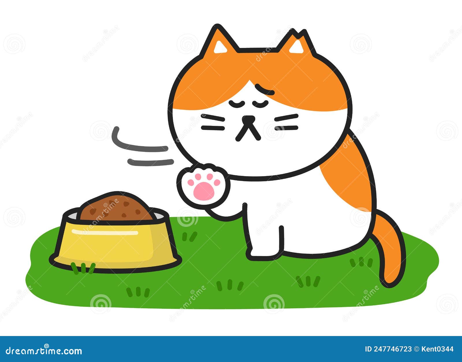 Cat no appetite 2025