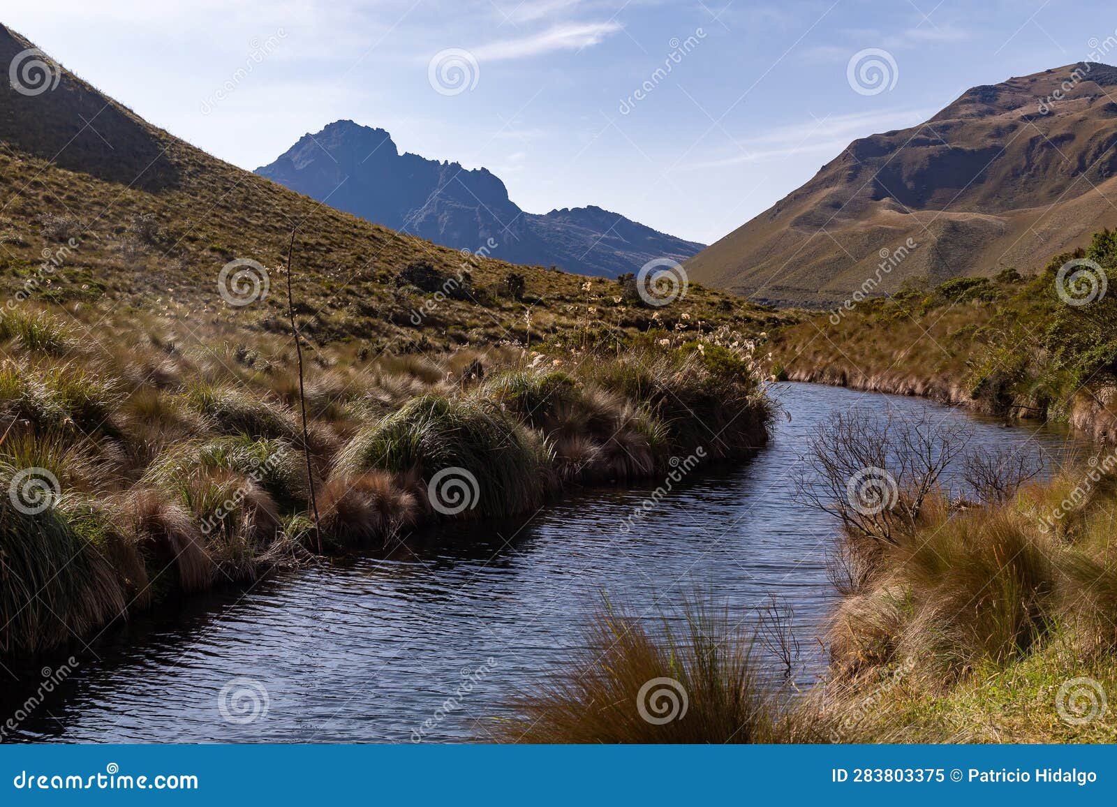 stream that is born in the mojanda lagoons