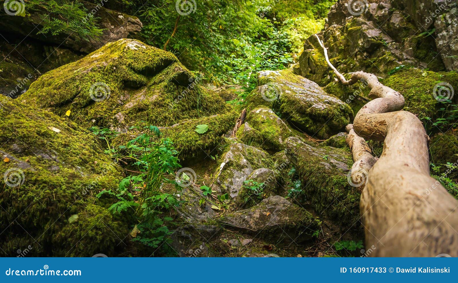 Stream Or Creek Flowing Between Mossy Rocks Water Autumn Ireland