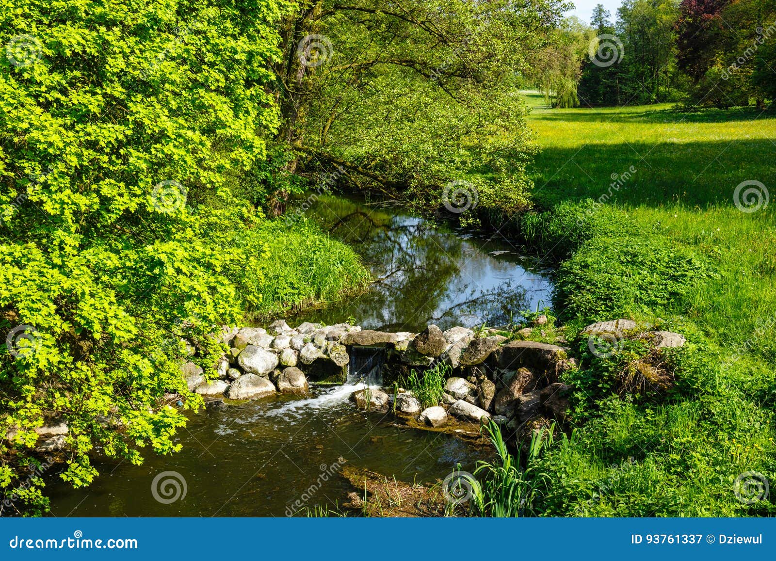 Stream Flowing through the Garden Stock Image Image of dendrological