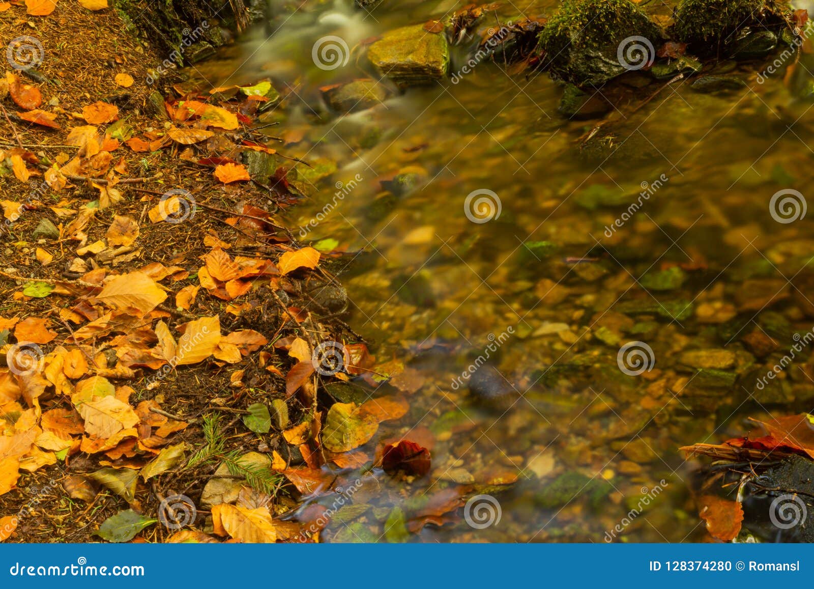 Stream Gently Cascading Down A Mountain Forest With Small Waterfalls In