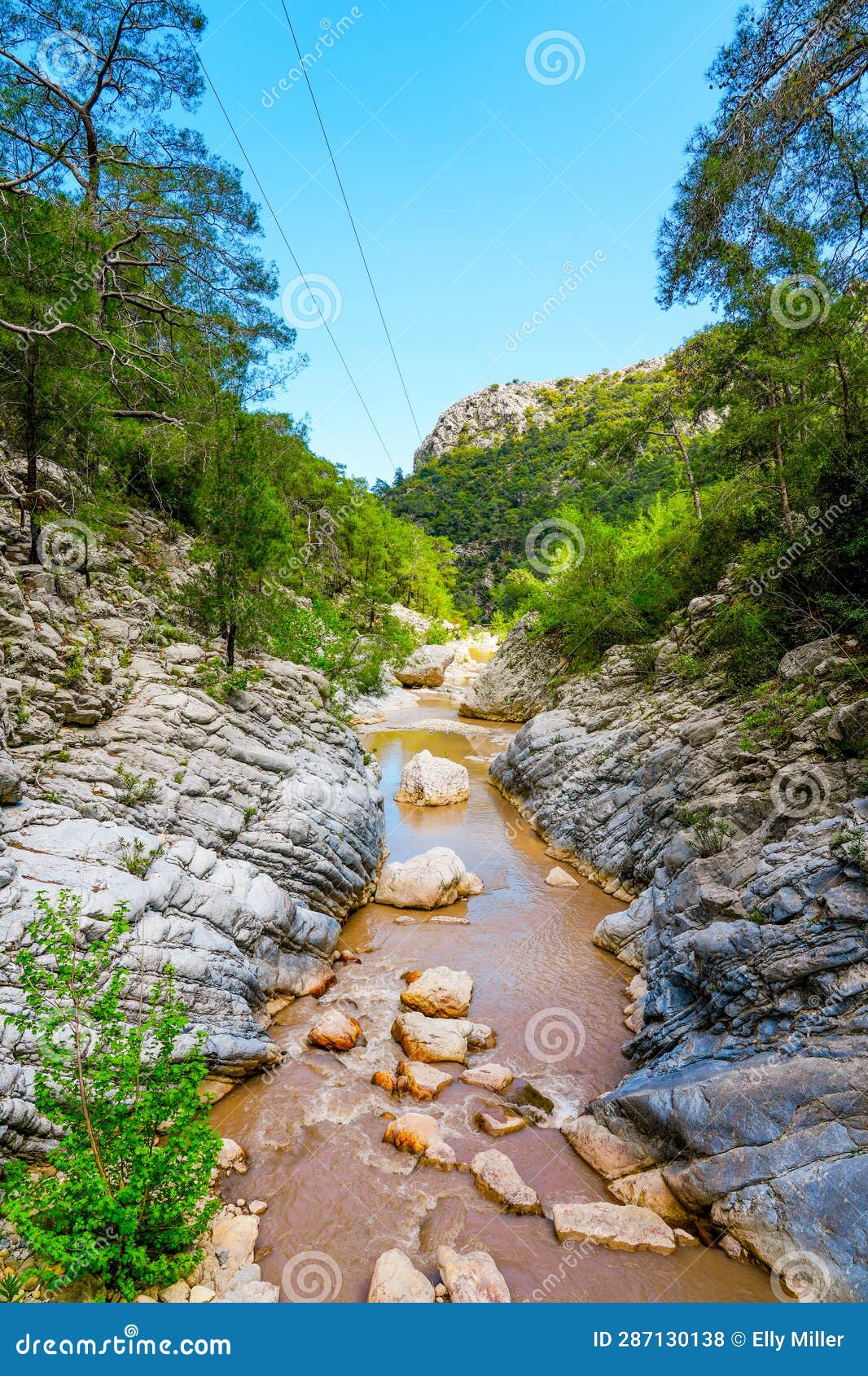 stream in goynuk canyon. nature in tÃ¼rkiye