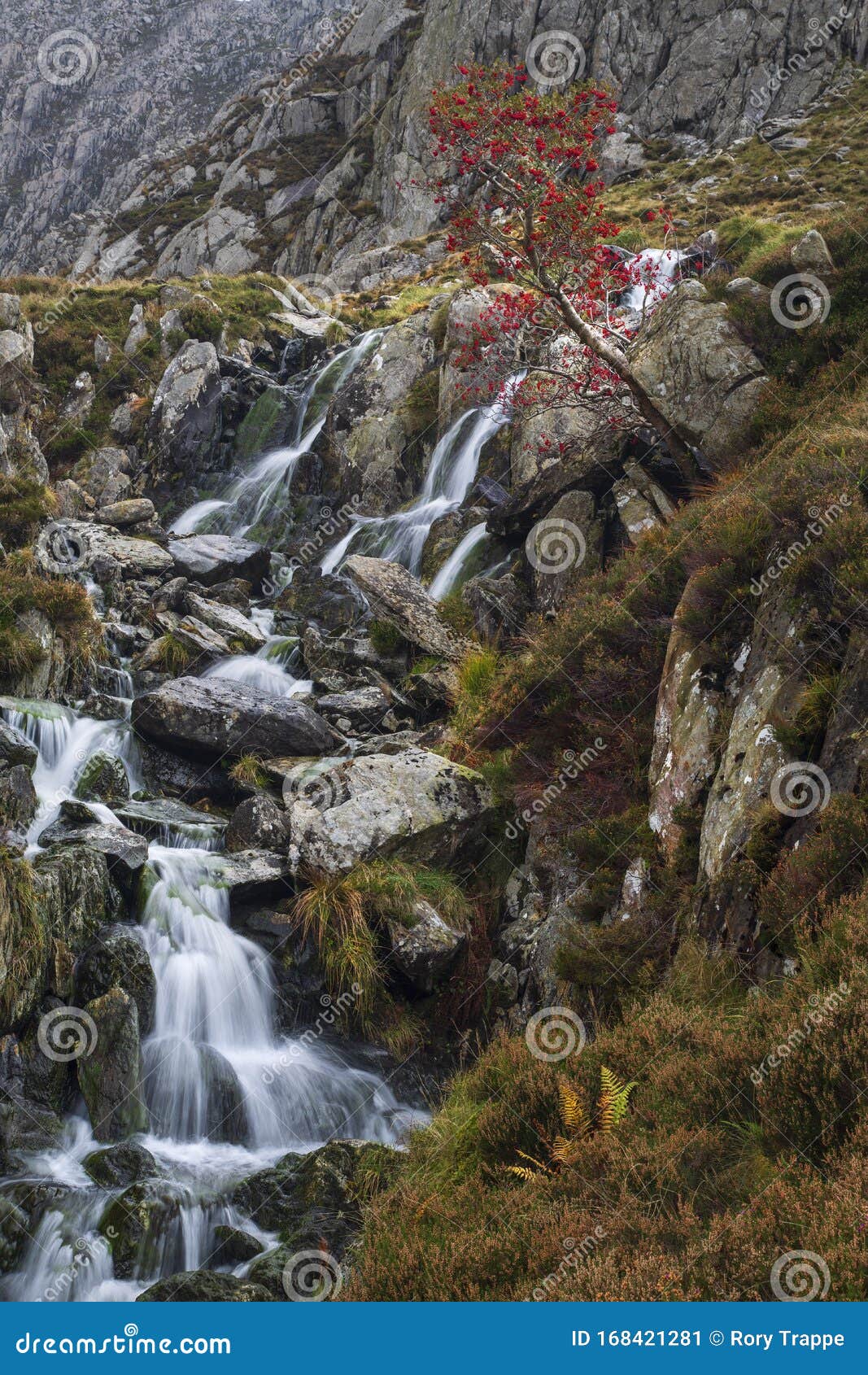 stream from llyn bochlwyd