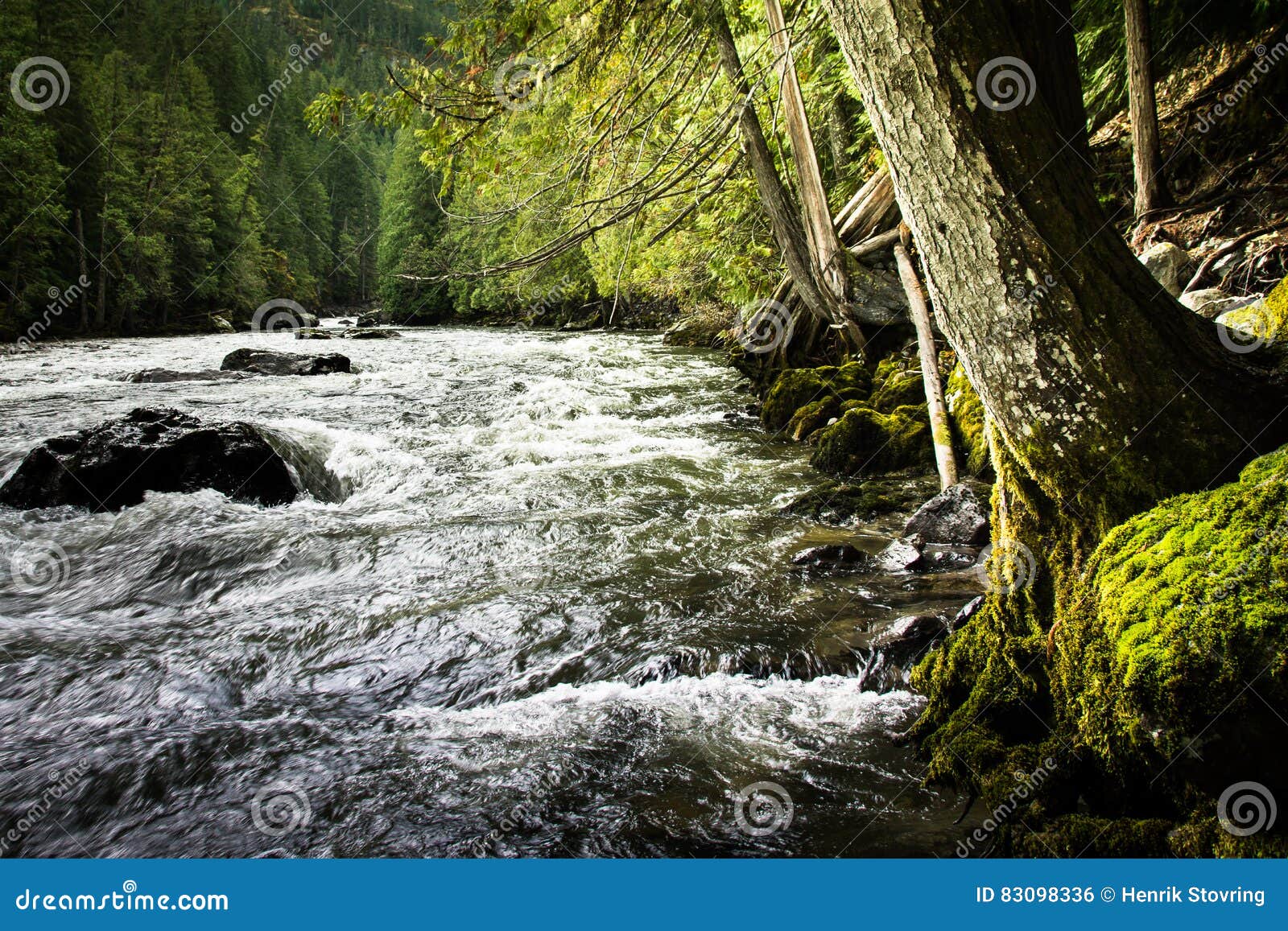 stream at nairn falls, canada