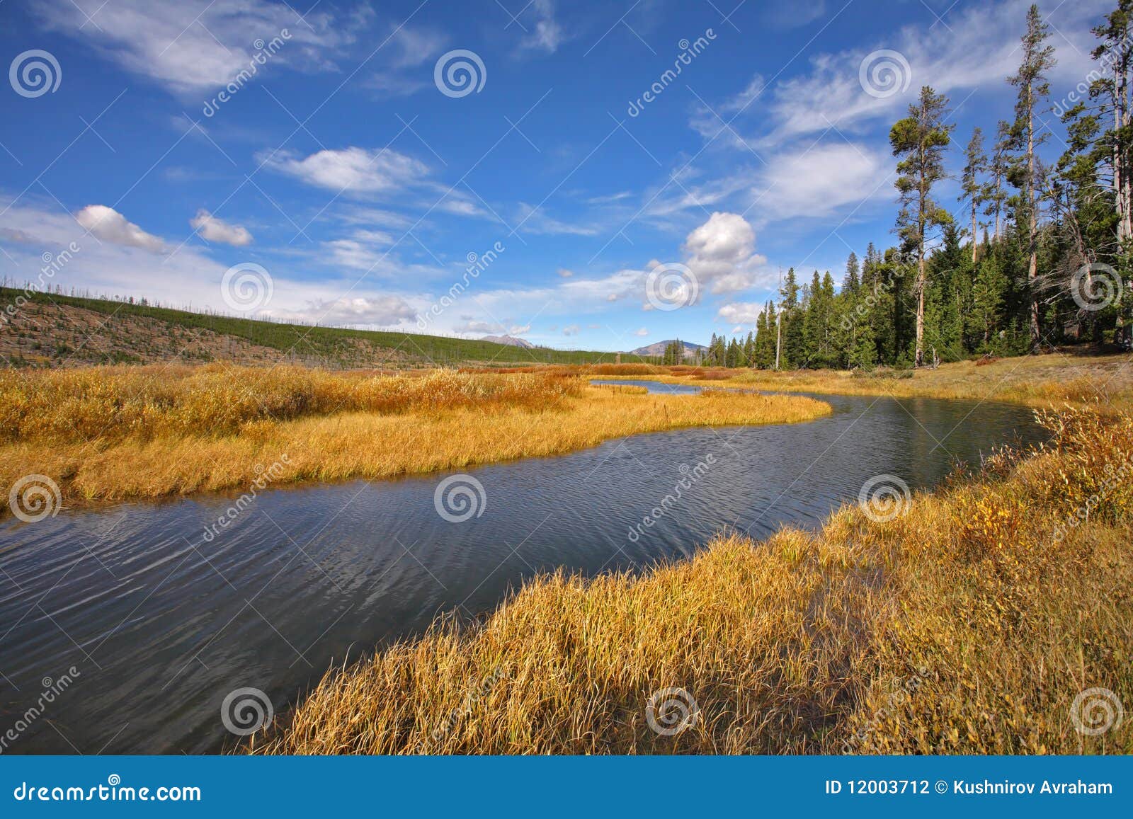 The Stream in Park Yellowstone Stock Photo Image of scenics, idyllic