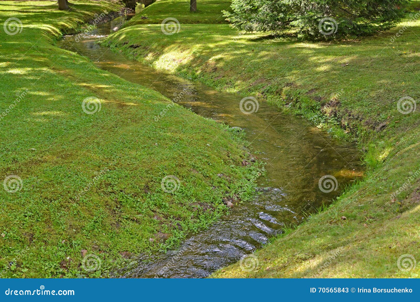 the stream proceeds through park. summer landscape