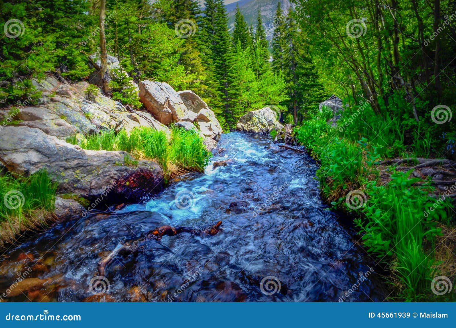 stream in rocky mountains