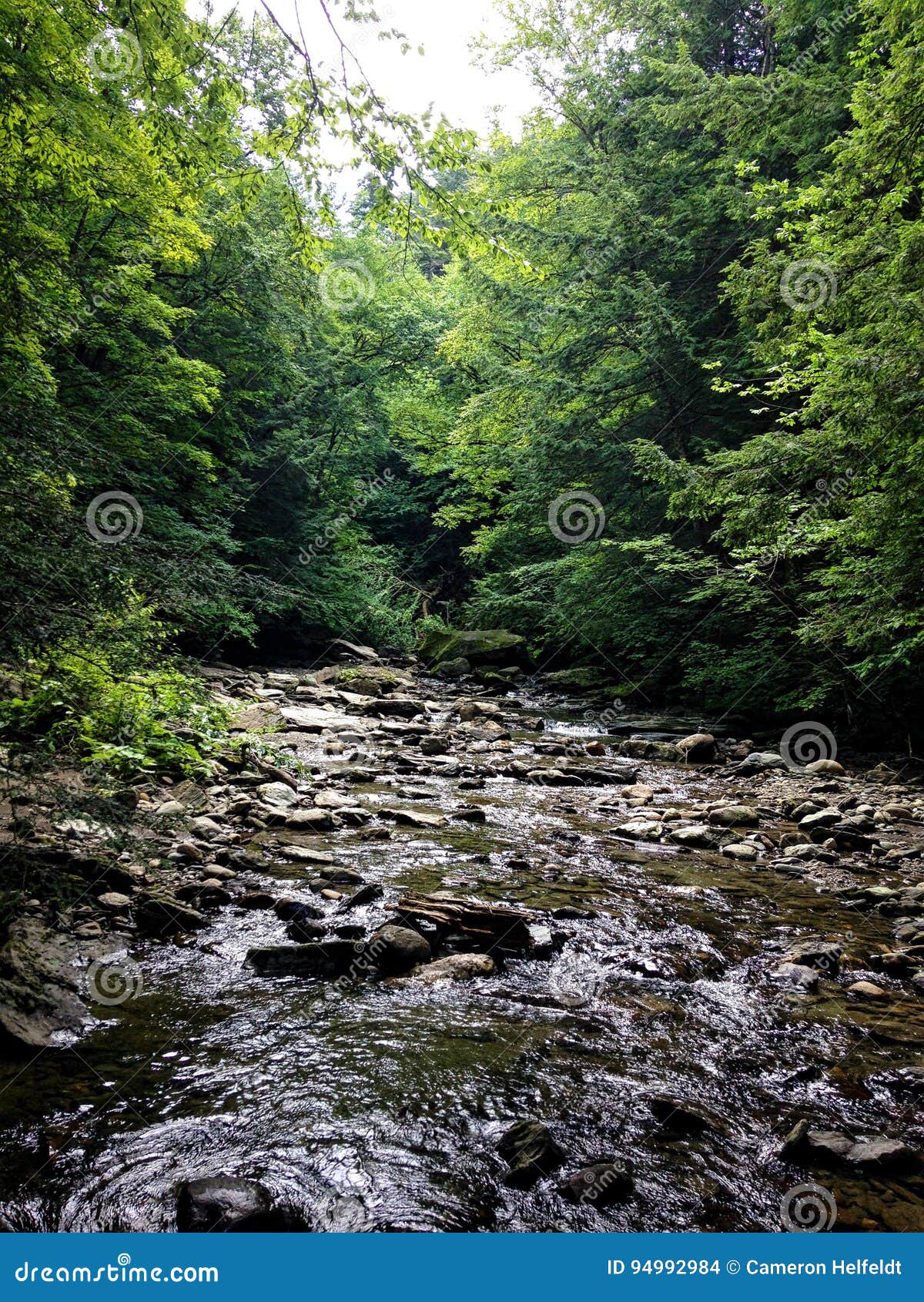 Stream in Vermont stock photo. Image of waterfall, stream 94992984