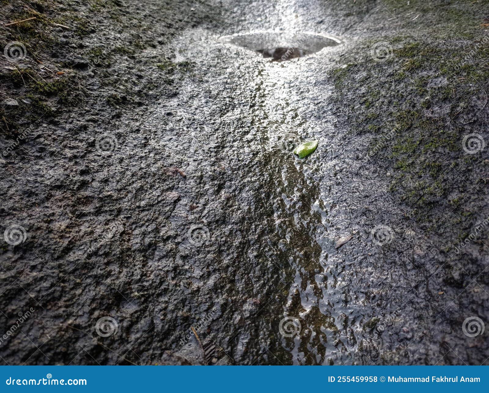 The Stream of Water Dripping on the Rock Stock Photo Image of