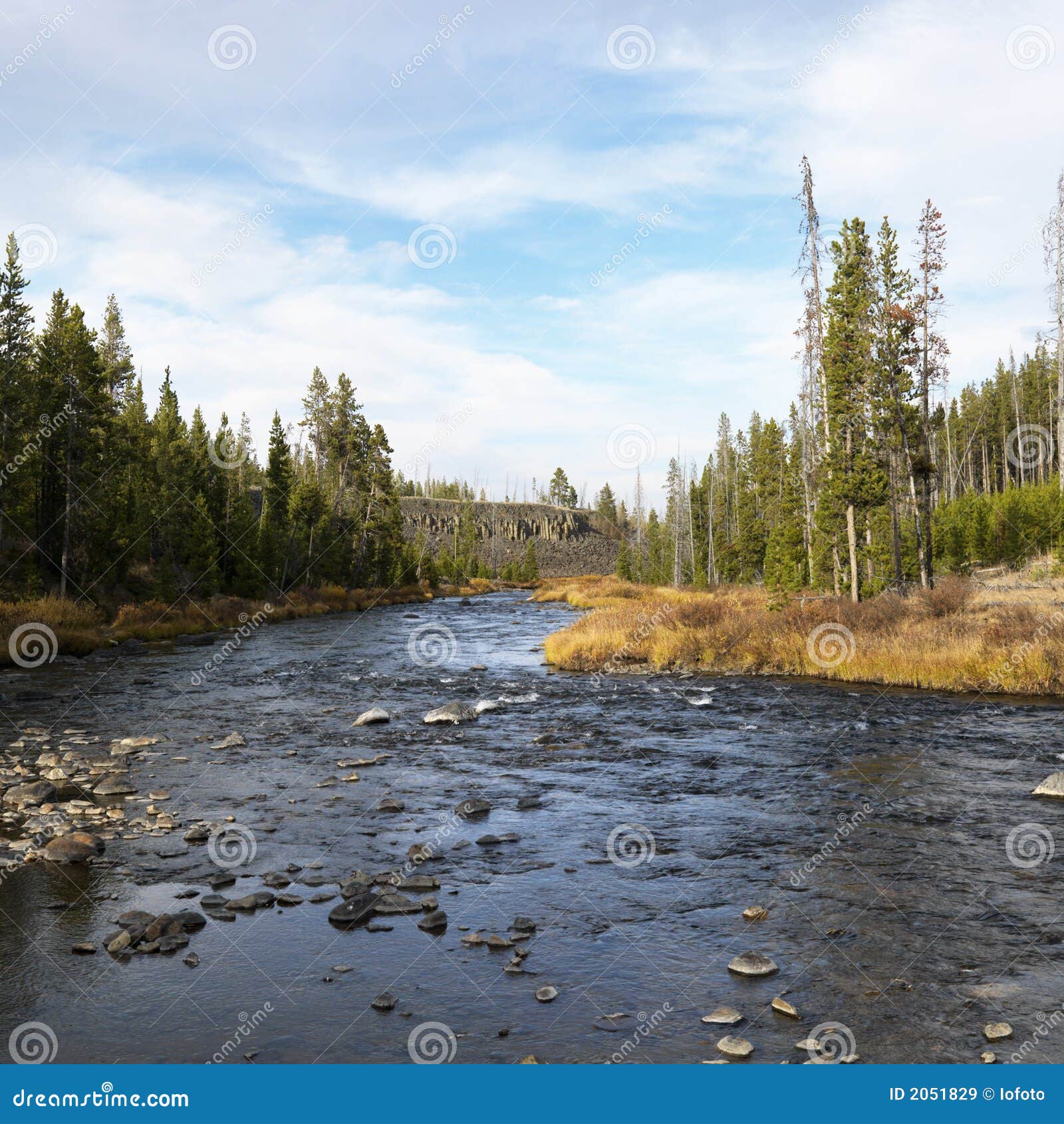 Stream in Yellowstone stock image. Image of nature, square 2051829