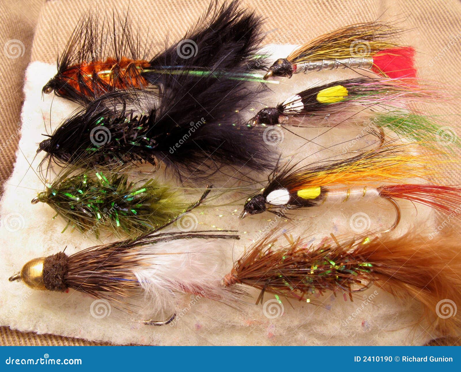 Streamer Fly Assortment stock photo. Image of trout, sports - 2410190