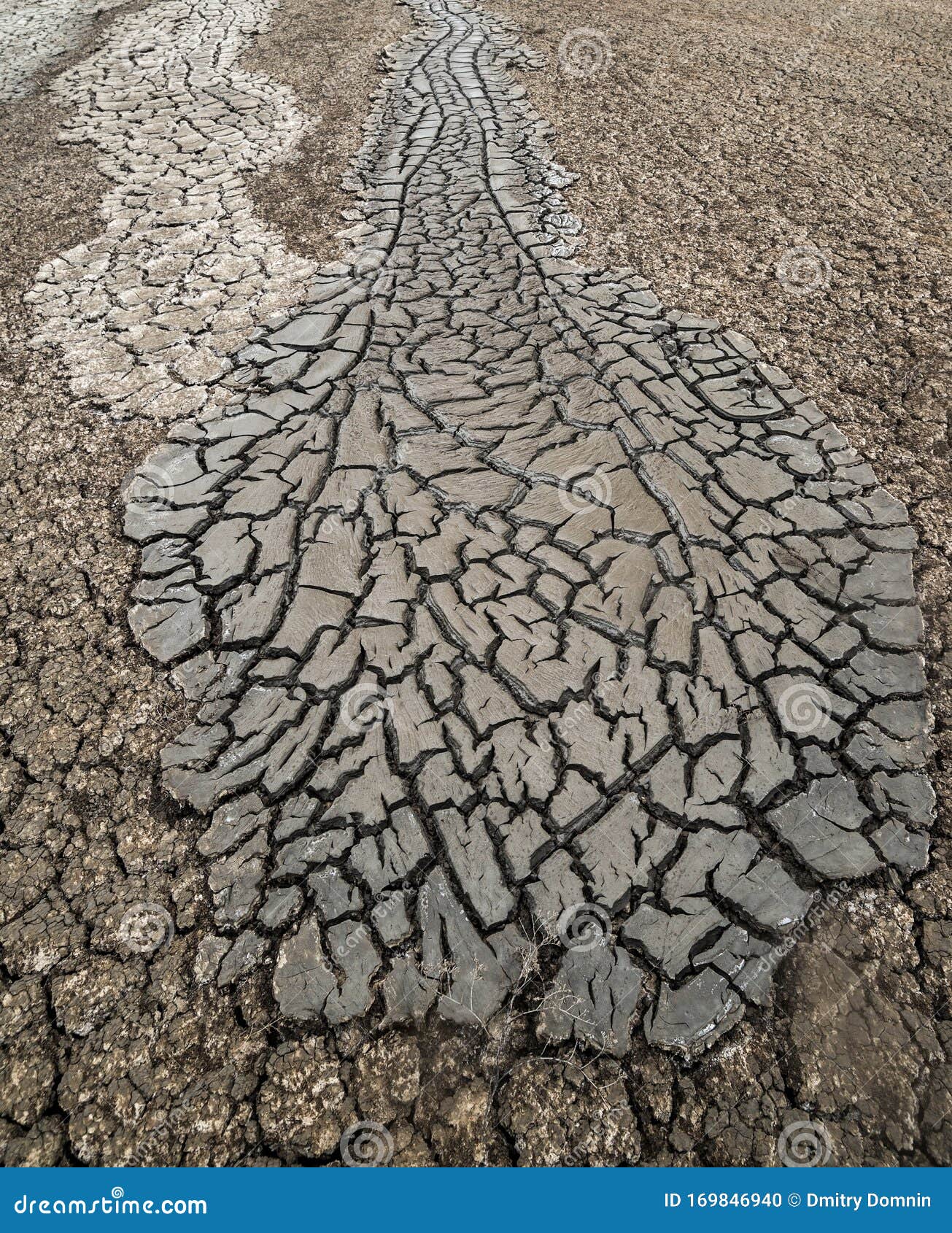 Streams of Cracked Mud from a Mud Volcano Stock Photo Image of