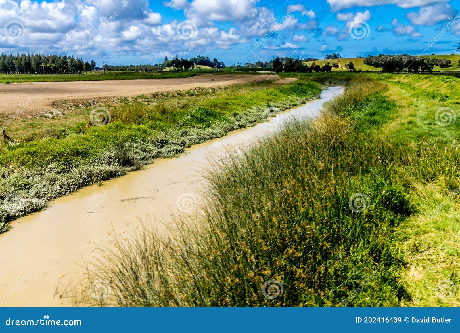 wide open vistas around dargaville new zealand