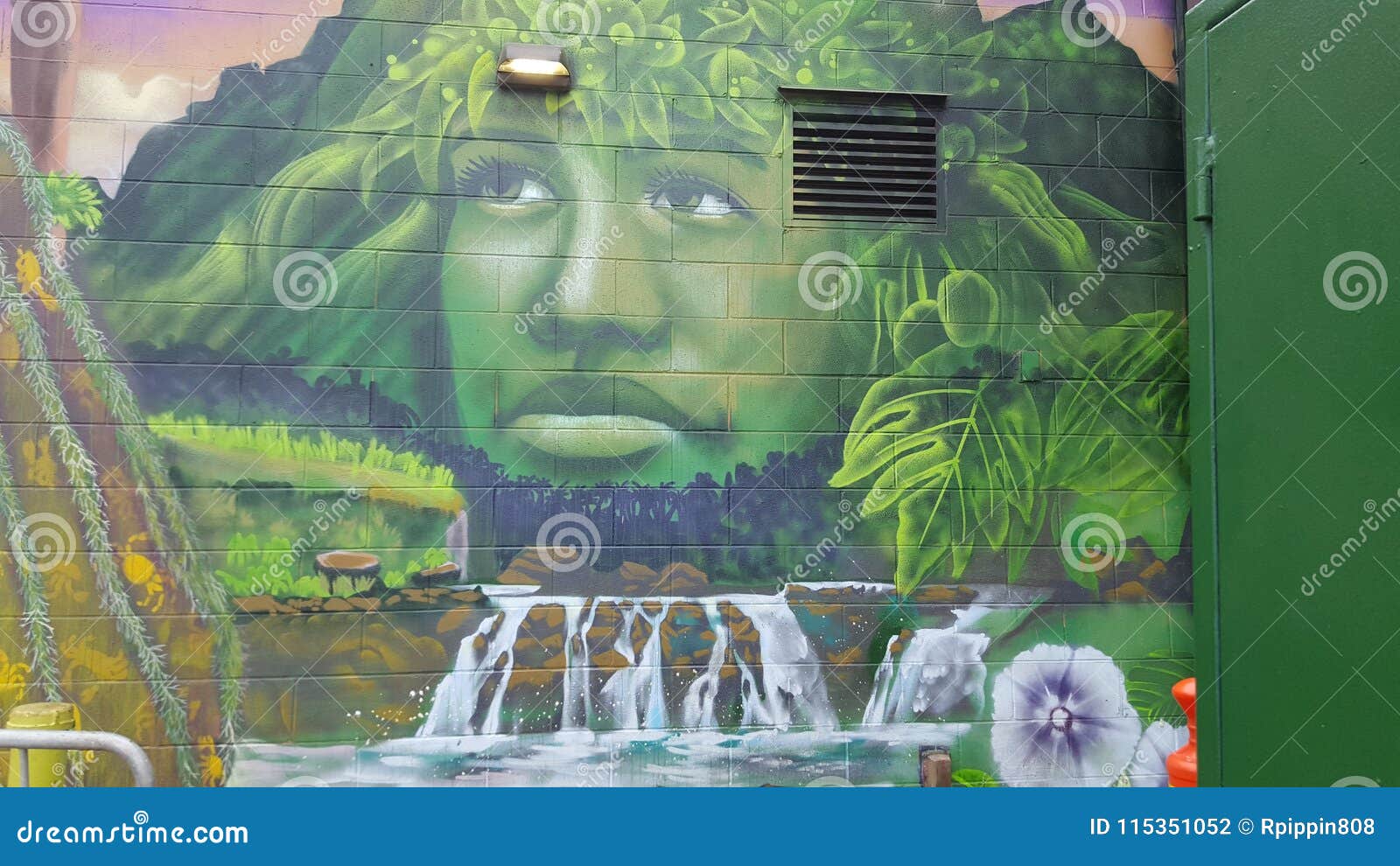 Street art honolulu editorial photography. Image of street 115351052