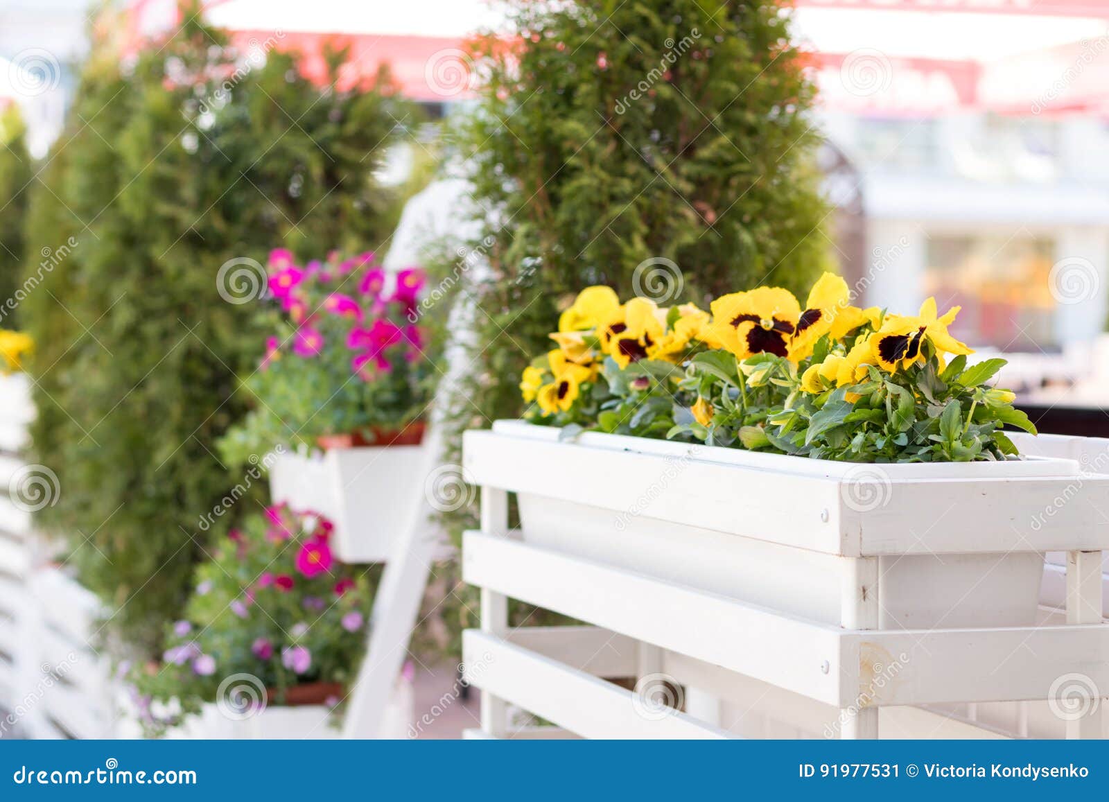 Street Cafe Flowers and Herbs Decor Concept. Stock Image - Image of ...