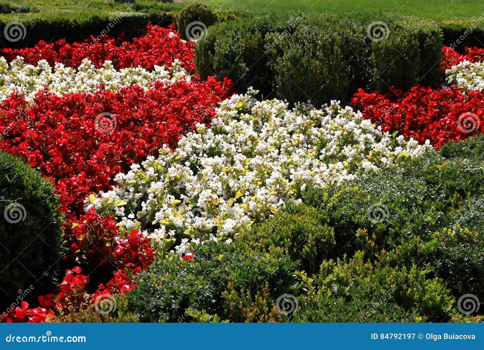 Street Decorated by Flowers, Budapest, Hungary. Stock Image Image of