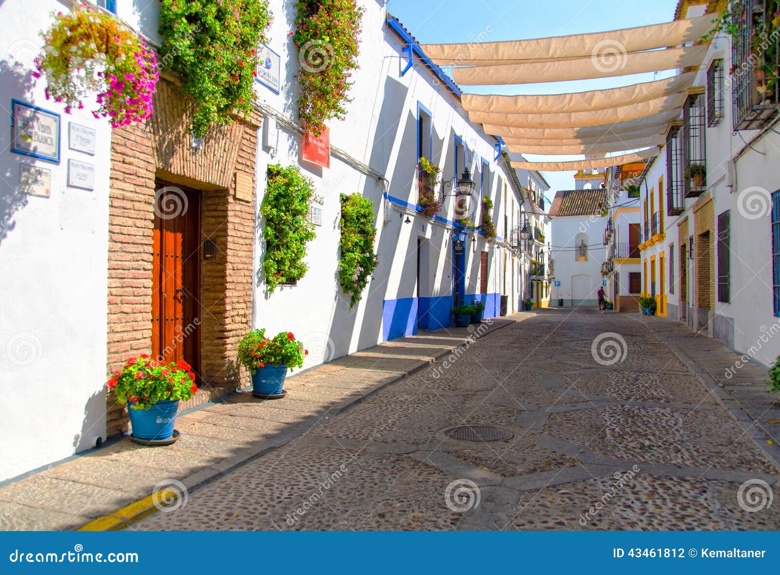 street with flowers in cordoba (calleja de las flores)