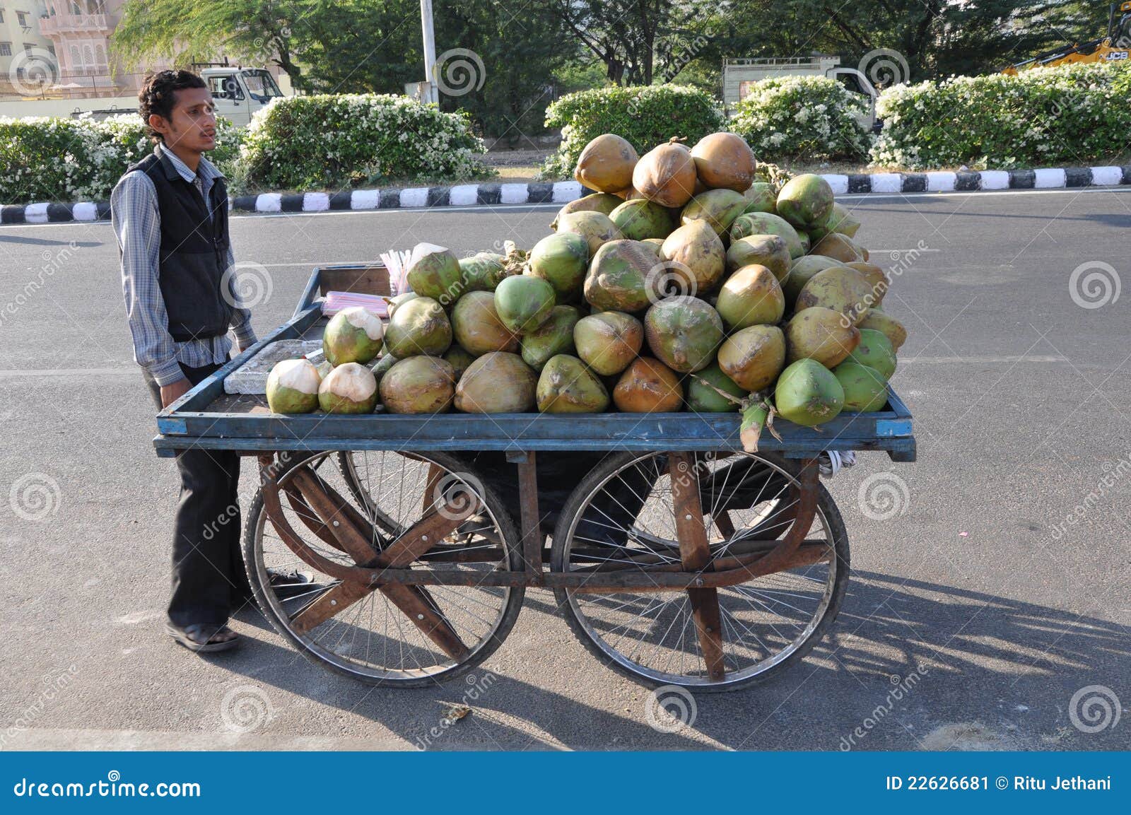 Street Hawker in Jaipur, India Editorial Photo Image of asia, banana 22626681