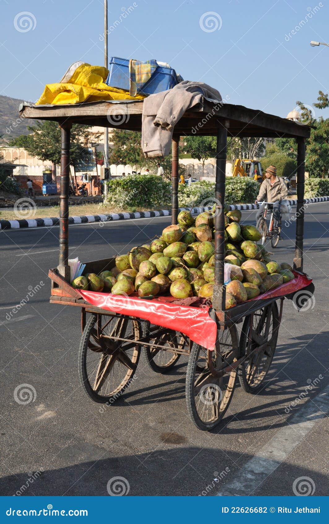 Street Hawker in Jaipur, India Editorial Photography Image of fair