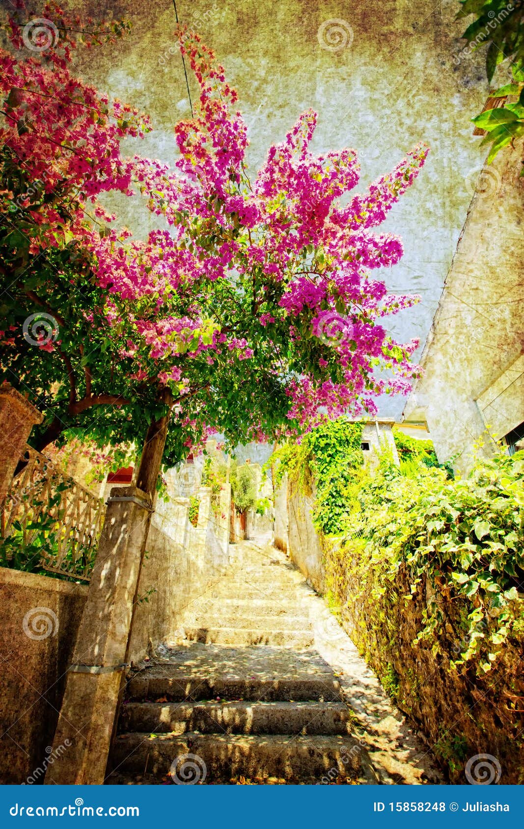 street of herceg novi