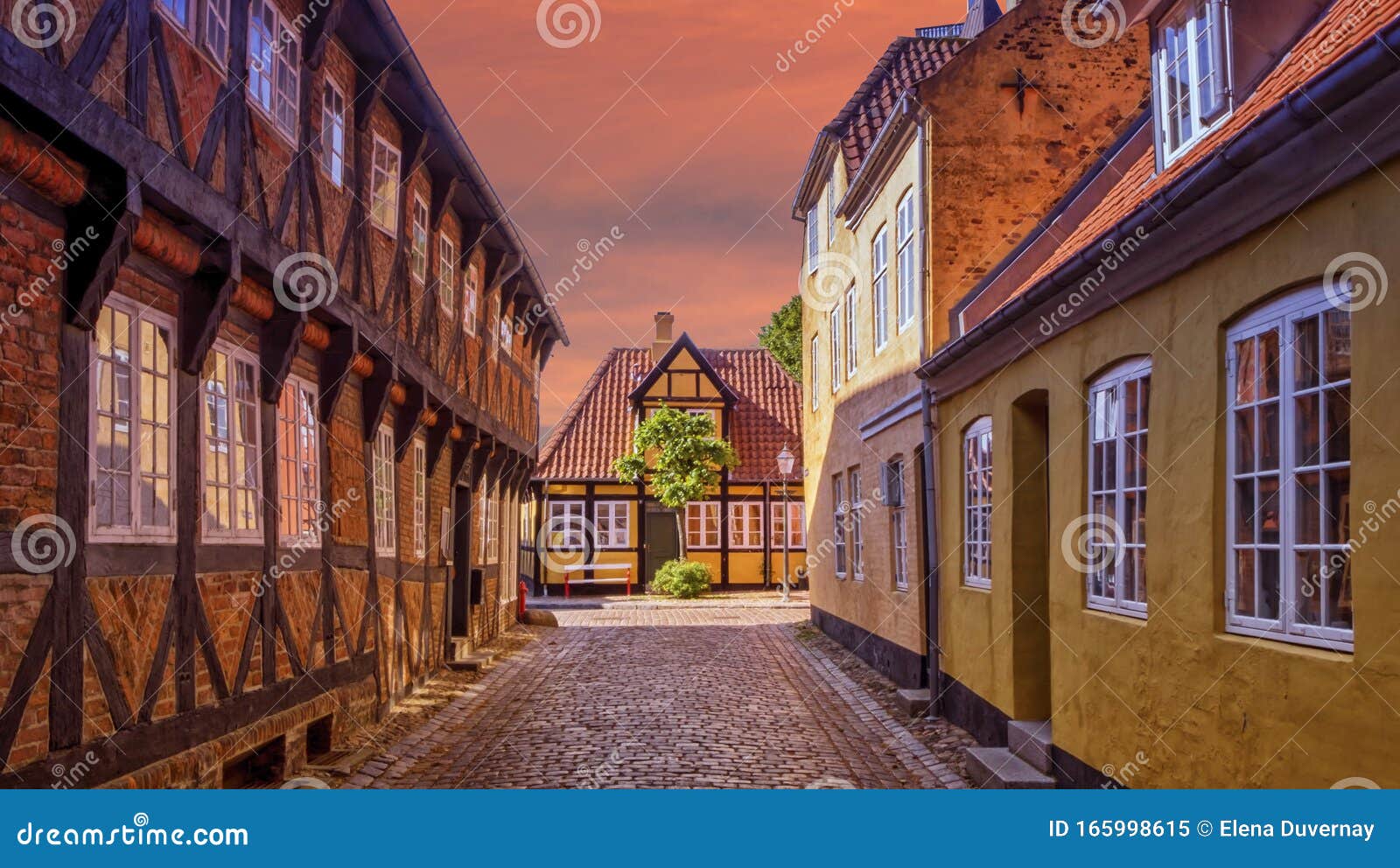 street and houses in ribe town, denmark