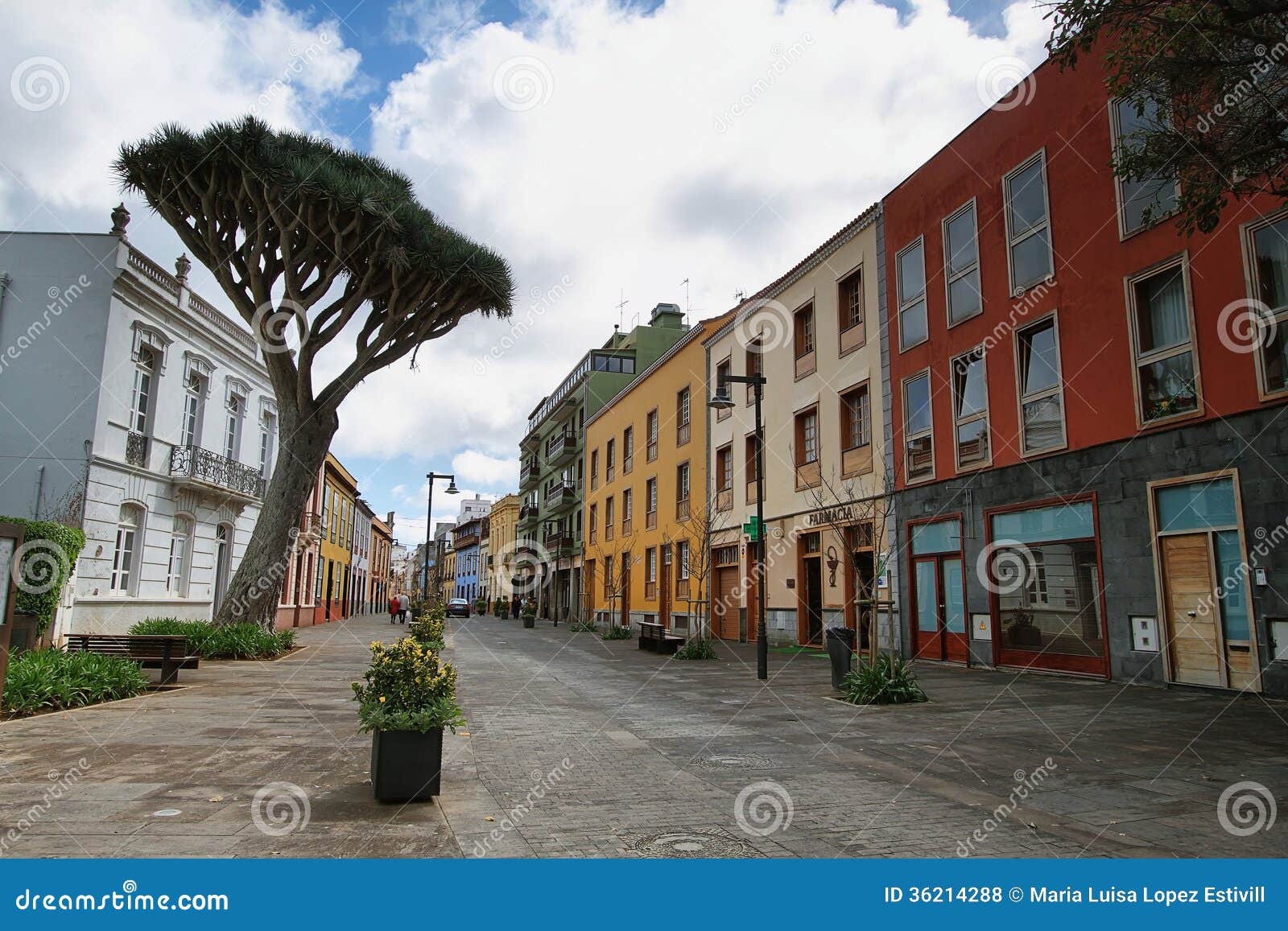 street in la laguna