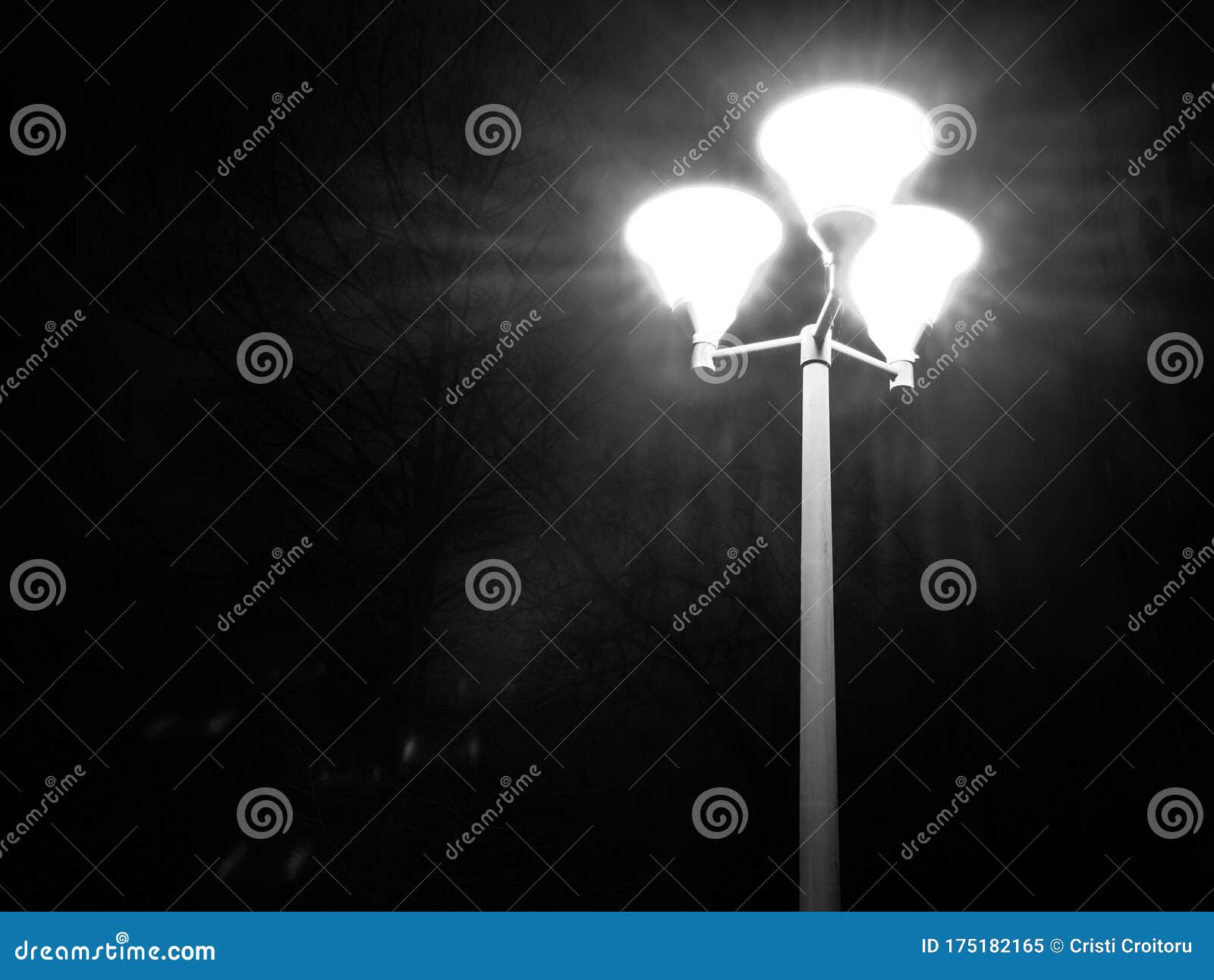 Rays of Light from a Light Pole with 3 Lamps Stock Image Image of night, nature 175182165