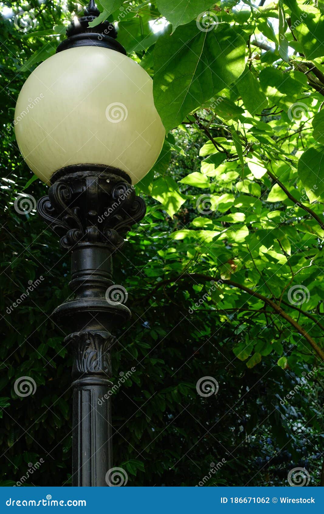 Street Lamp in a Park on a Sunny Day Stock Photo Image of outdoors