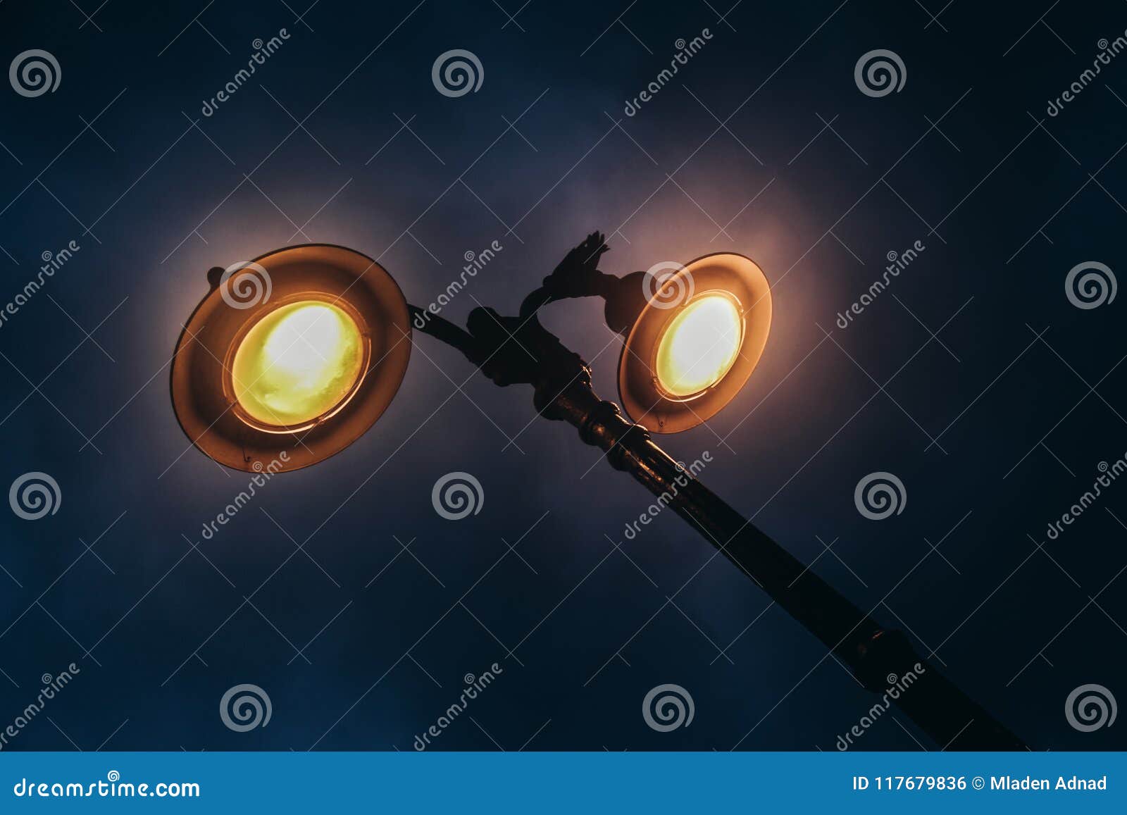 Street Light at 6 in the Morning Stock Photo Image of flower, leading