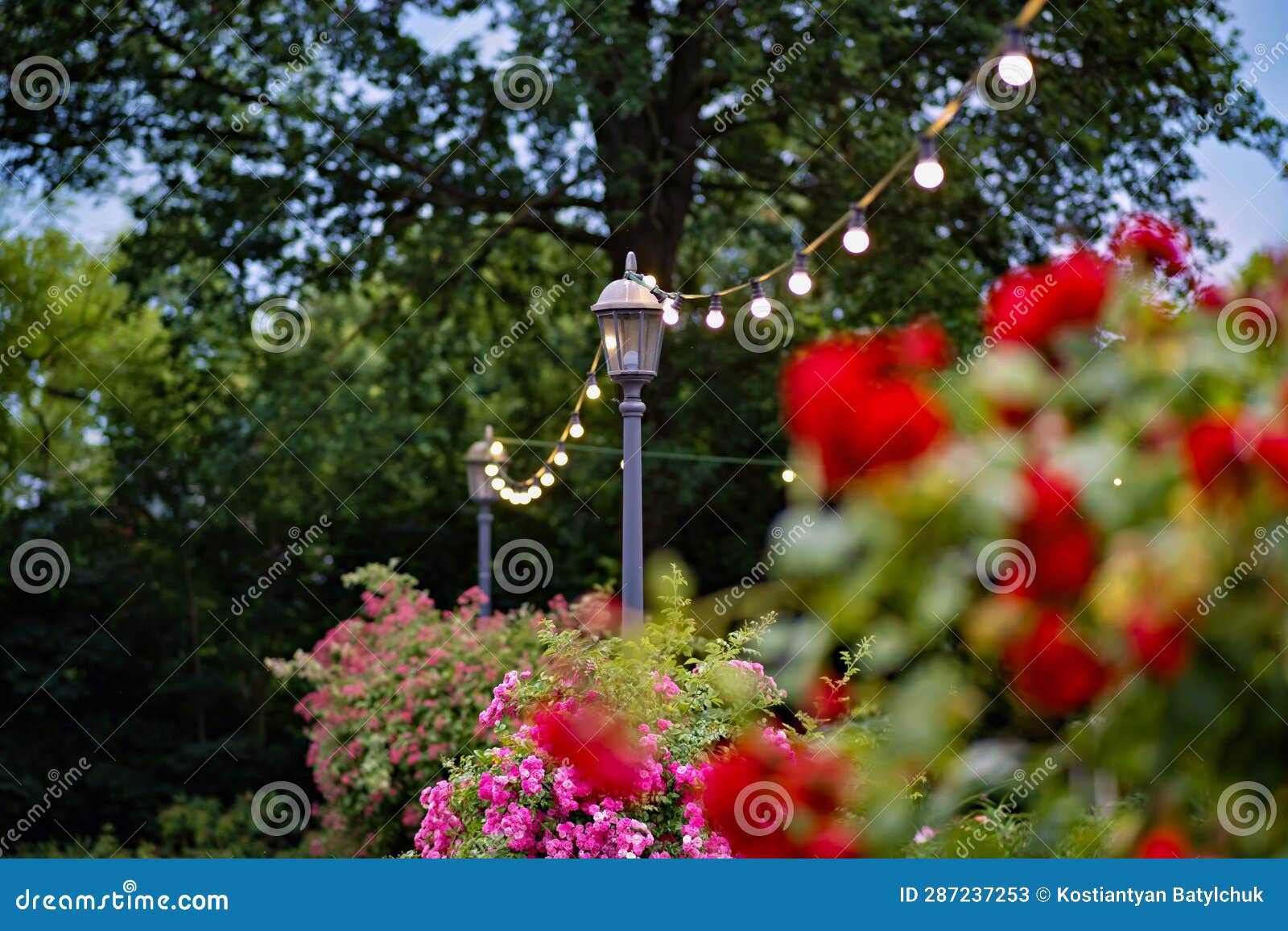 Street Light Surrounded by Flowers and Trees Stock Image - Image of ...