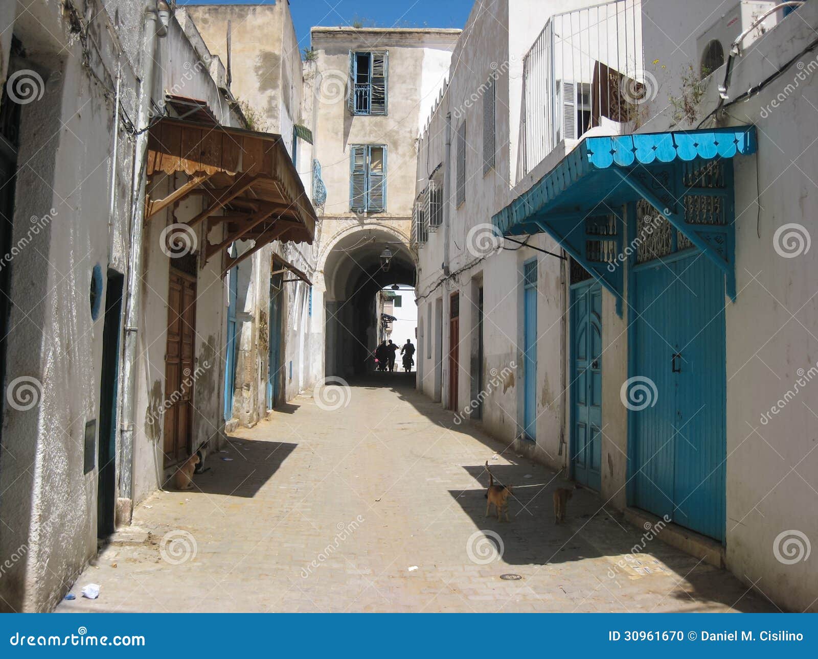 a street in the medina. tunis. tunisia