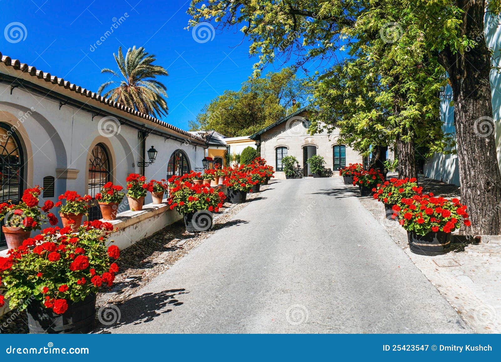 Street of Old Spanish Town. Stock Image - Image of monument, culture ...