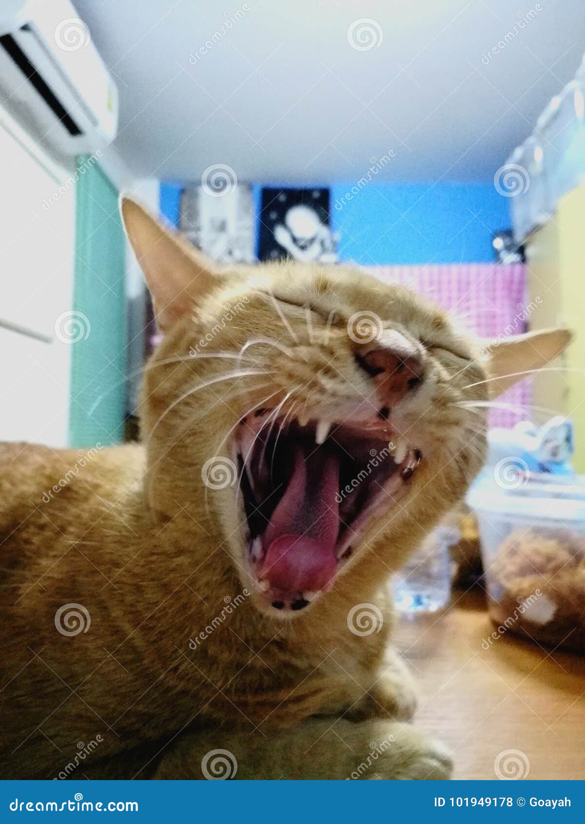 Mad stock photo. Image of street, angry, orange 101949178