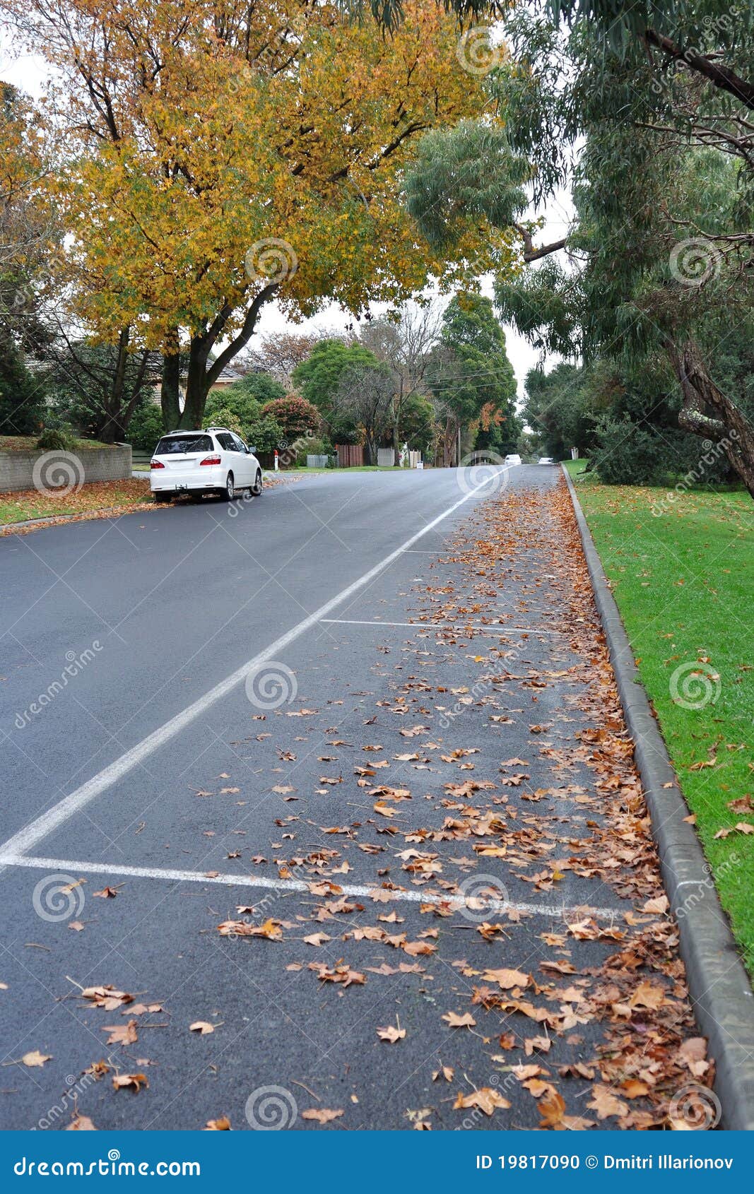 Street parking and leaves stock photo. Image of leaf 19817090