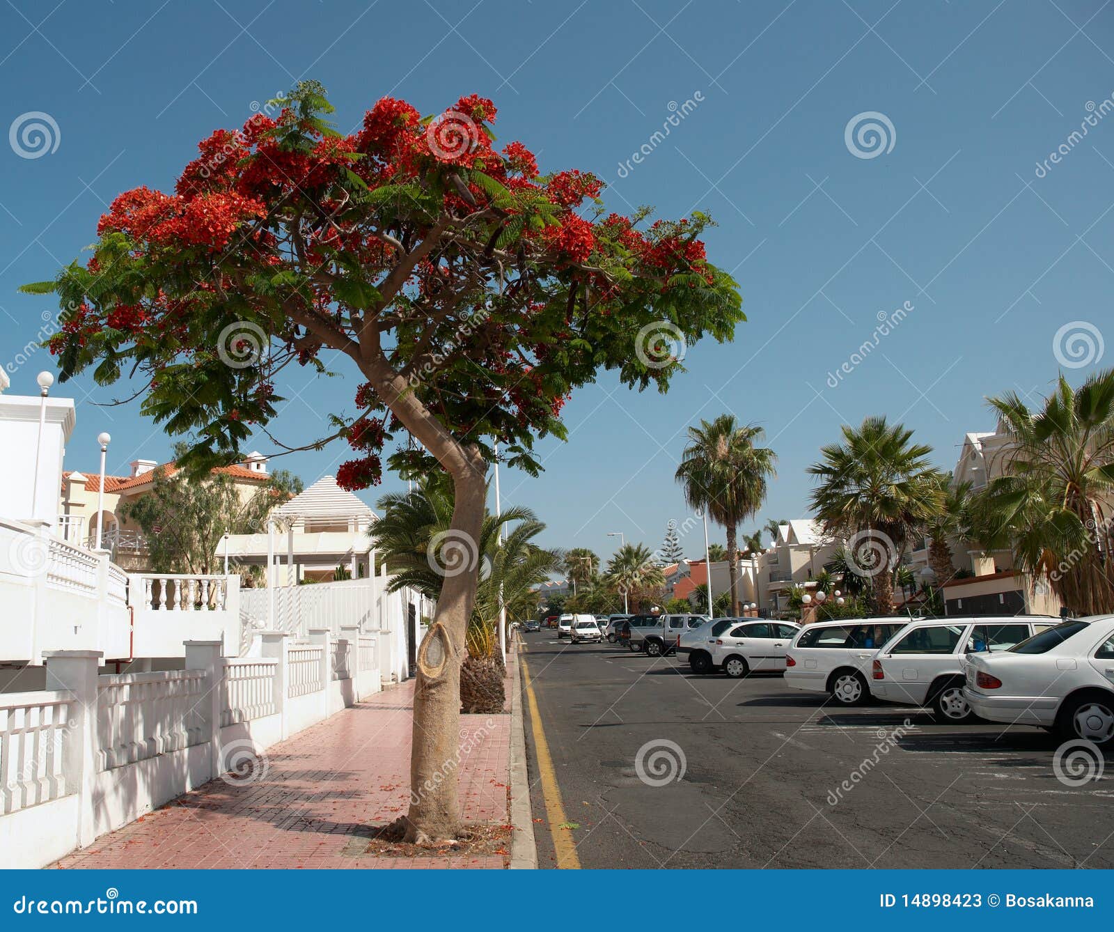 street of playa de las americas