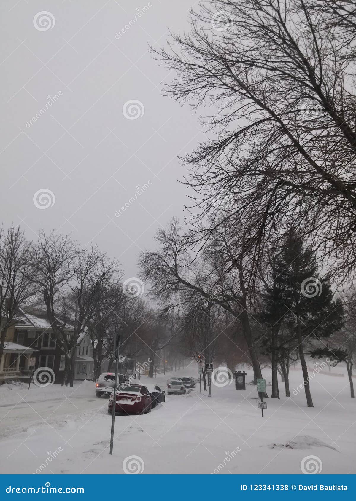 Street Road with Cars, Trees and Neighborhood Houses, Covered Under ...