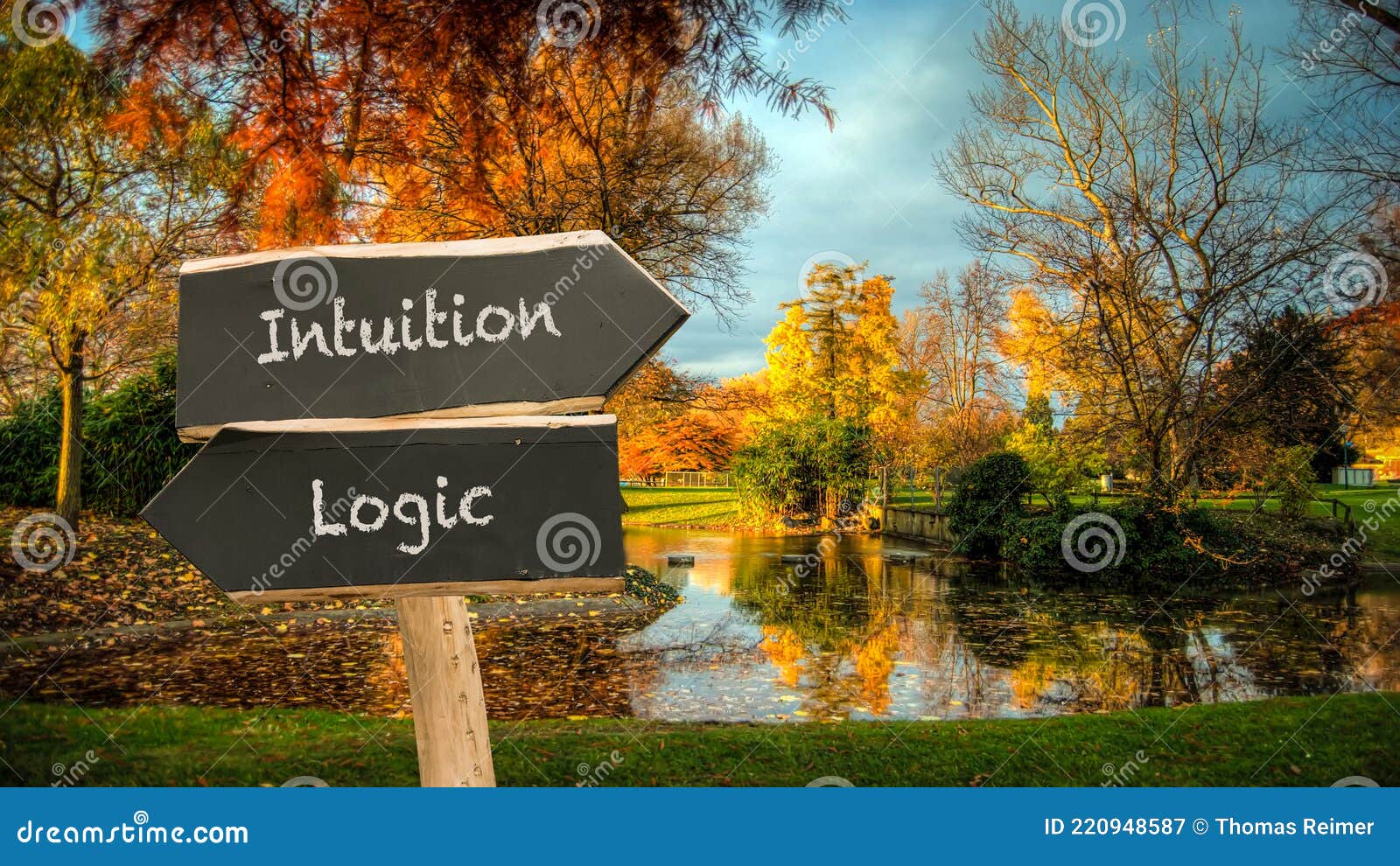 street sign intuition versus logic