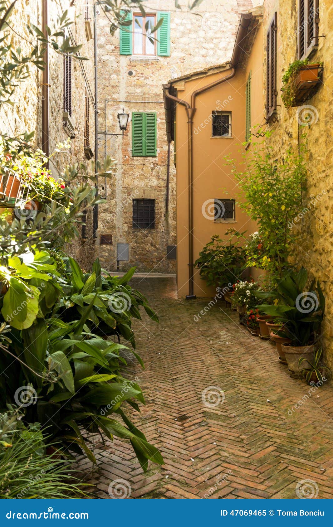 Street in Tuscany stock image. Image of farmland, italian - 47069465