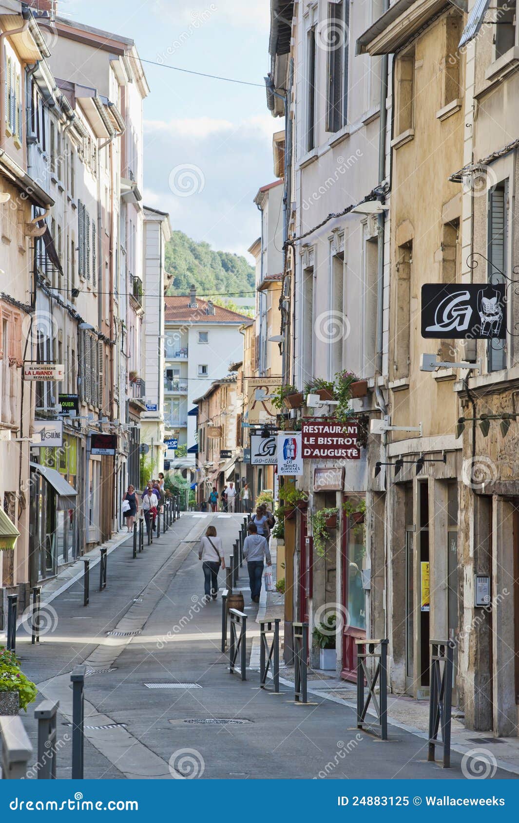 Street of Vienne editorial image. Image of pedestrians 24883125