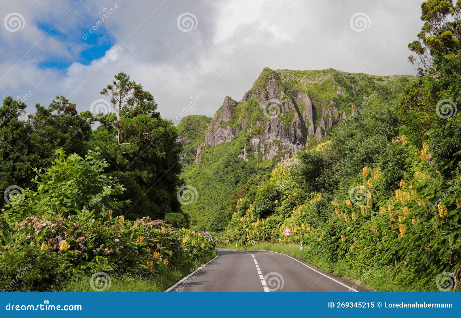 street view of basalt cliffs of rocha dos bordoes on flores island, azores, portugal