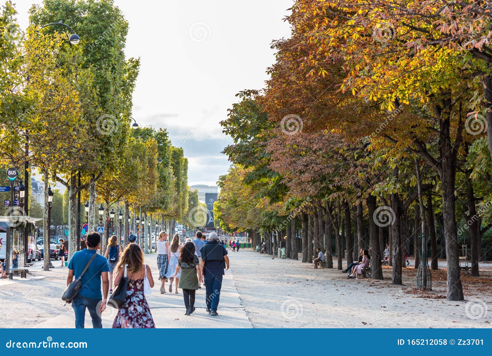 Street View of Champs-Elysees Avenue with Lots of Plane Trees in