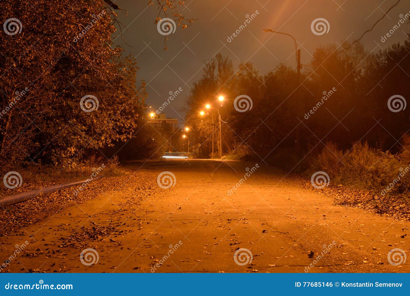 street in the village at night.