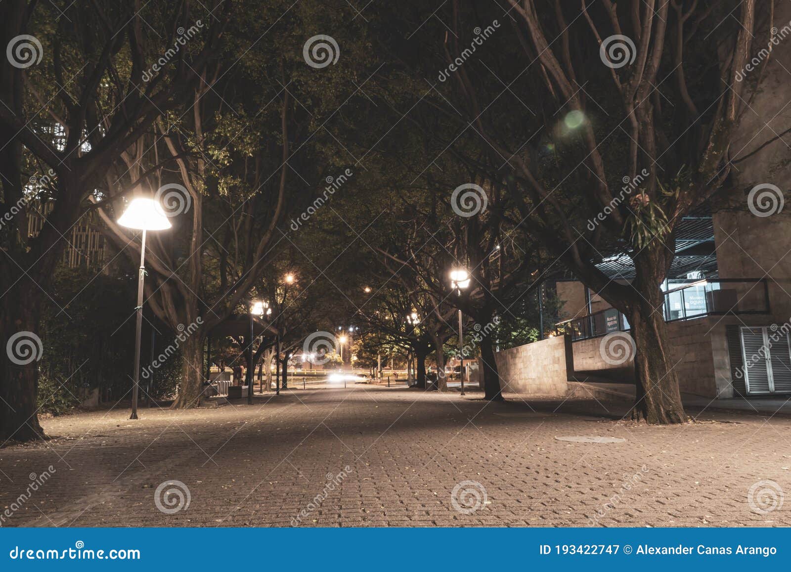 streets of medellin at night