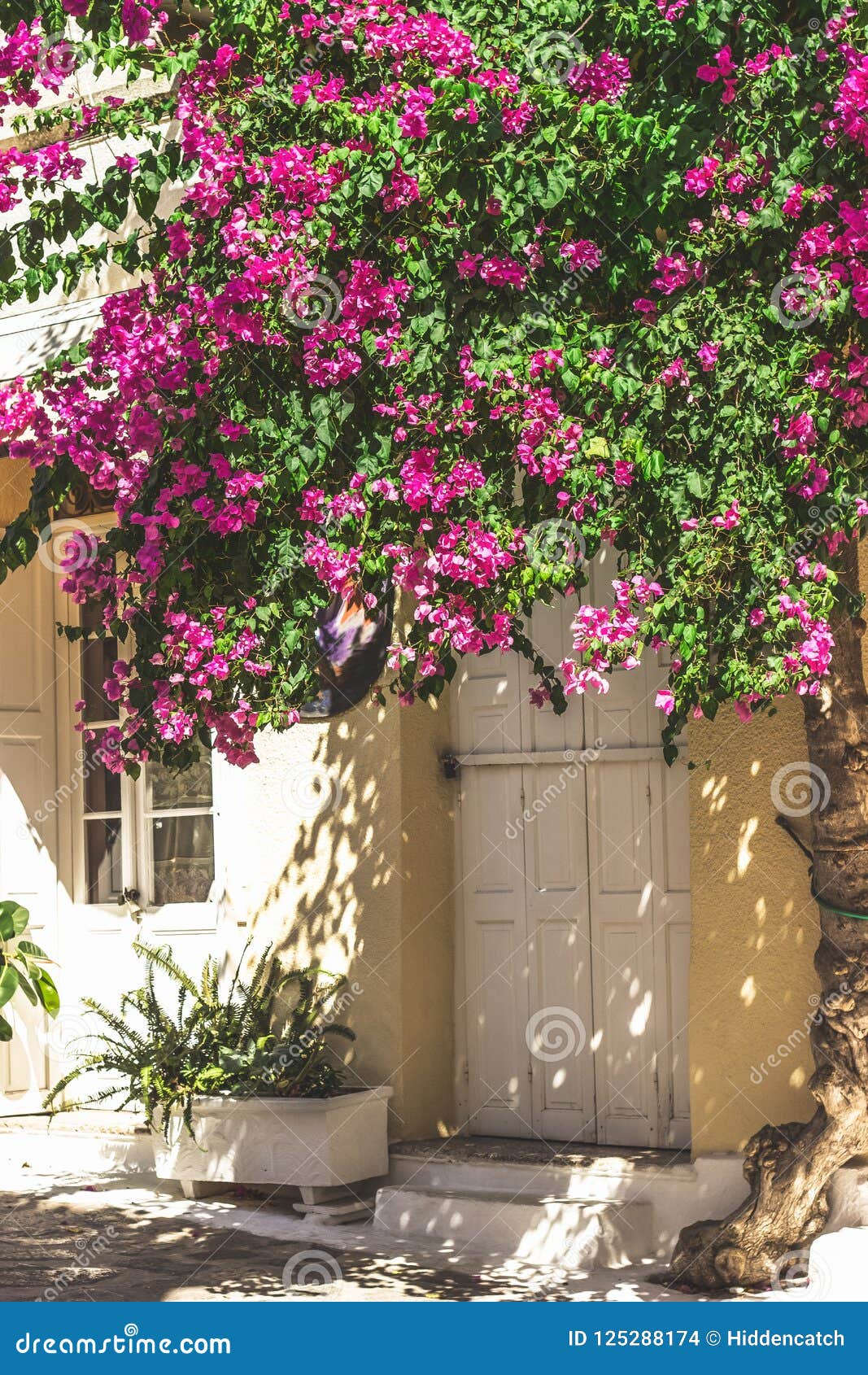 Streets of Neorio Town in Poros Island, Greece; Trees with Pink Stock ...